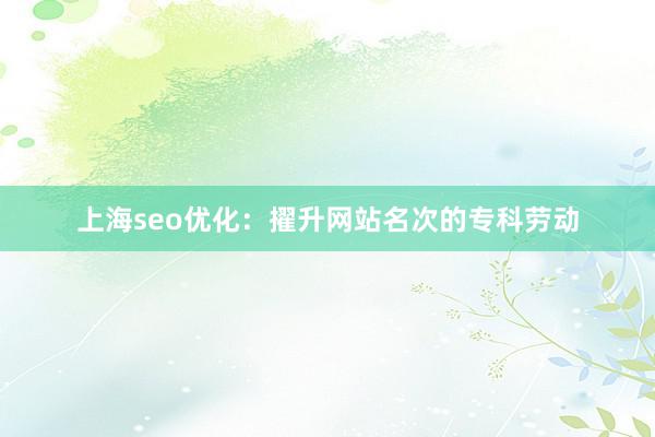 上海seo优化：擢升网站名次的专科劳动