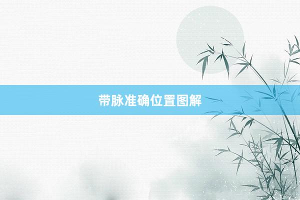 带脉准确位置图解